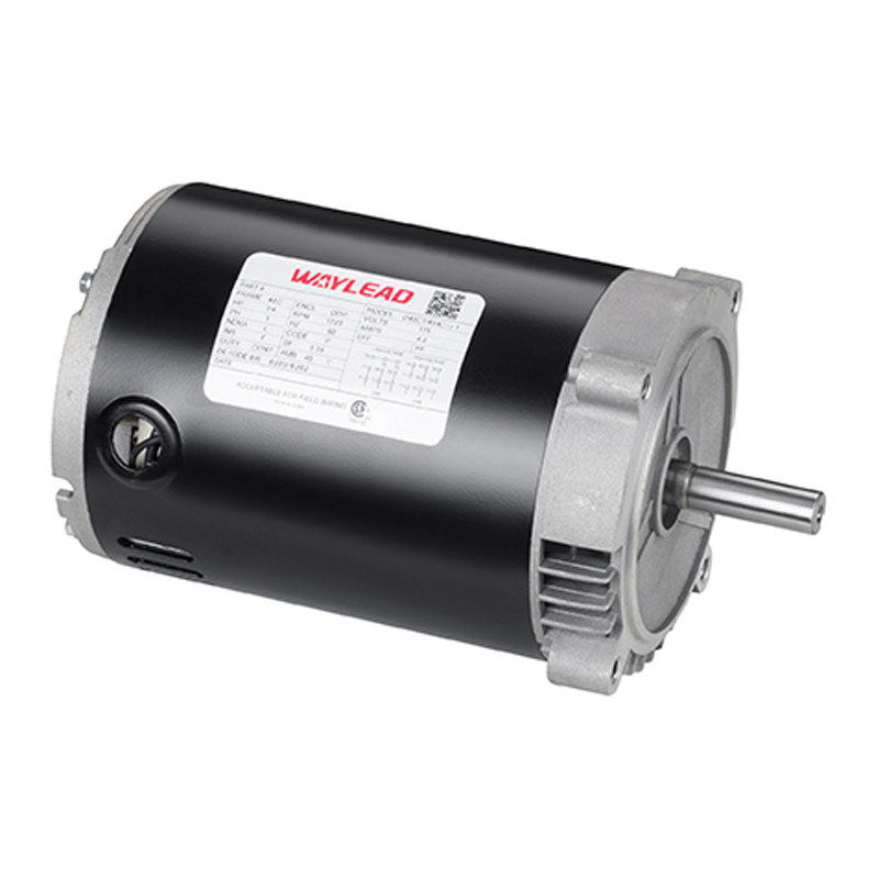 /product/pump-motor/single-phase-pool-and-spa-pump-motor.html